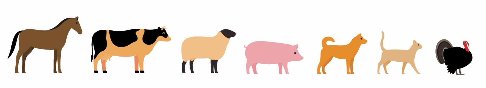 illustrated farm animals