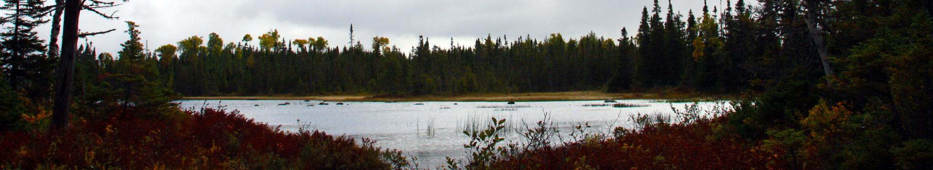 Indian Arm Brook