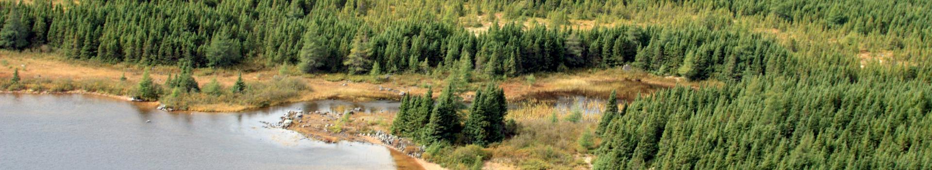 Indian Arm Brook