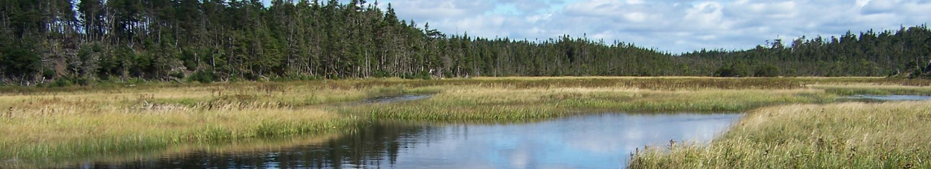 Ripple Pond